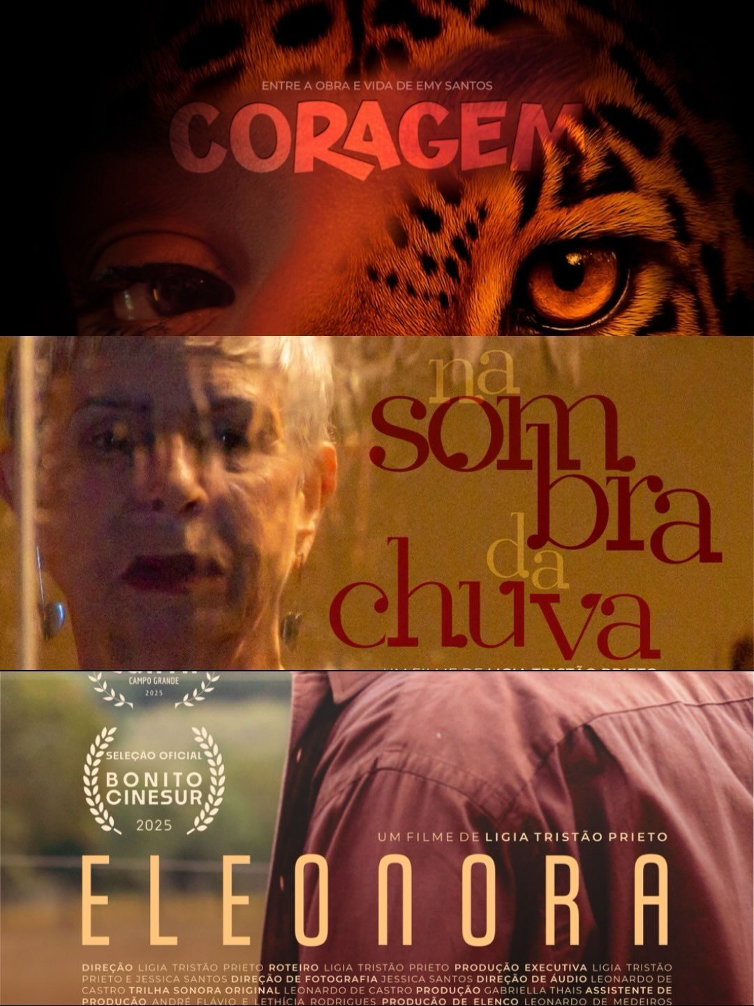Flyer: IX Mostra Sesc de Cinema
